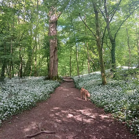 Arthurs -charming Courtyard In The Heart Of Kendal, The District Διαμέρισμα Κένταλ